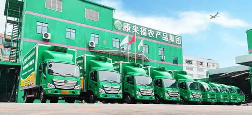 凌晨出發，康來福將新鮮的云南韭菜送上廣州食堂餐桌